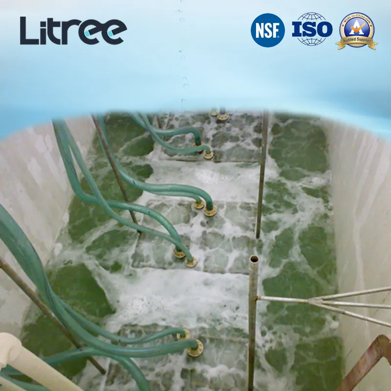 Litree 工業団地水処理プラント用浸漬 UF 膜限外濾過モジュール