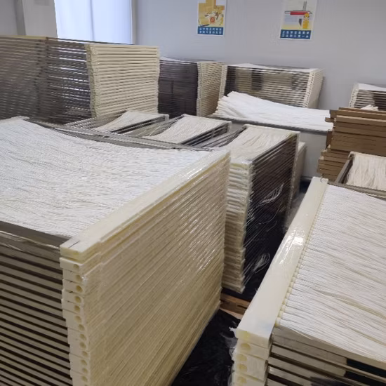 水フィルター PVDF 中空糸膜 Mbr バイオリアクター